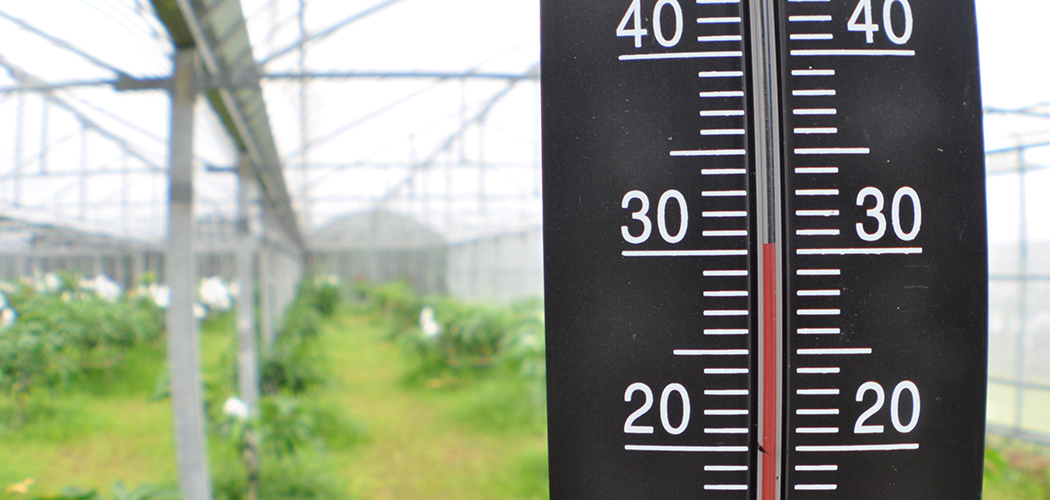 徹底された温度管理